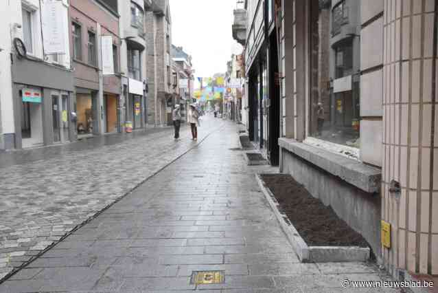 Halle legt eigen werken in winkelstraat al na enkele uren stil: “Er was te veel commotie”