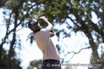 The 12-man American roster at the Presidents Cup