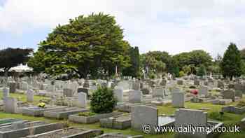 Fury after school took 40 pupils to cemetery for 'nature lessons' and let them run riot around gravestones