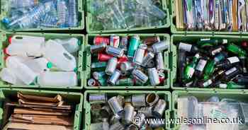 Medical warning issued of 'profound public health crisis' caused by plastics