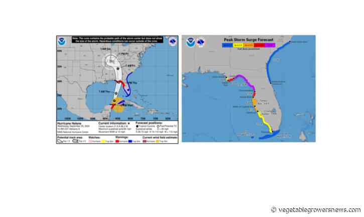 Georgia growers advised to prepare for Hurricane Helene