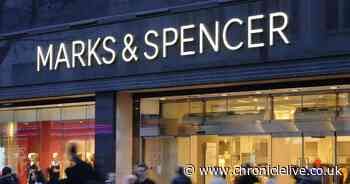 Marks and Spencer shoppers compare 'stunning' £45 bag to £3,670 designer version