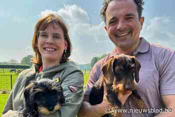 Oudsbergen is de diervriendelijkste gemeente van Limburg: “Alle dieren krijgen onze aandacht”