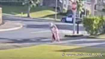 Heartless dog beater caught on camera striking puppy repeatedly