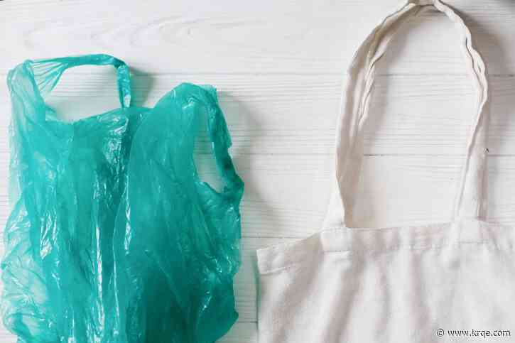 City of Carlsbad approves trial ban on single-use plastic bags