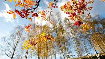 JOHN MACLEOD: The swallows are heading home, the redwings are stopping by... it's time to embrace the honest glory of autumn