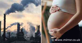 Air pollution has shocking affect on brains of newborn babies, new study finds