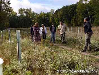 Metroparks give sneak peek at golf course land added to Secor site