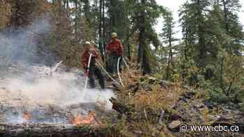 Researchers expect year-long fire seasons in northwestern Canada