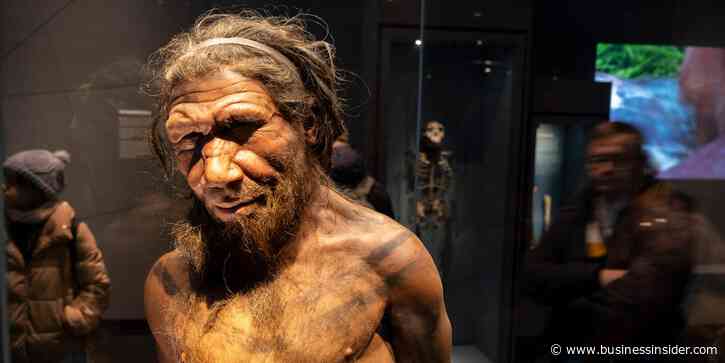 Scientists discovered a unique line of Neanderthals and it's helping solve the mystery of humanity's last great extinction