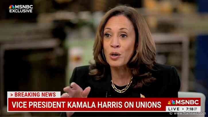 Kamala Harris confronted on not earning Teamsters endorsement: 'What was their reasoning?'