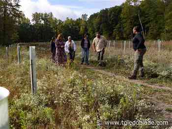 Metroparks gives sneak peek at golf course land added to Secor site