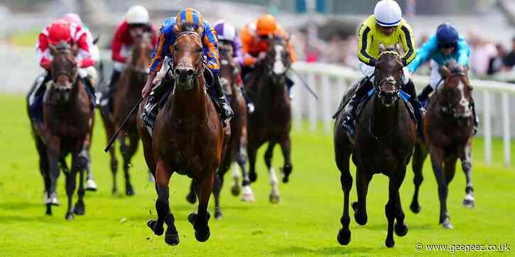 Wimbledon Hawkeye has the Royal Lodge in his sights at Newmarket