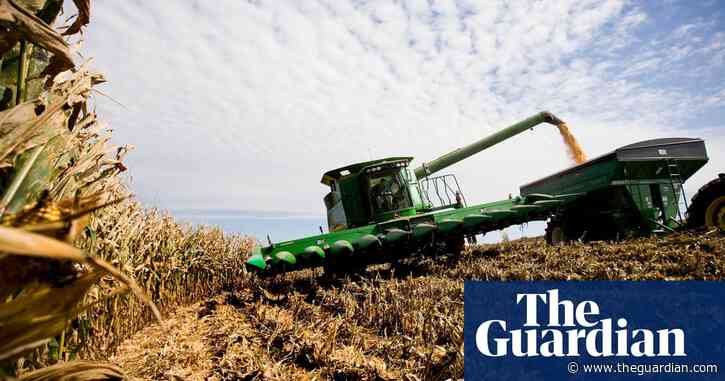 Why corn ethanol is worse for the climate than petrol