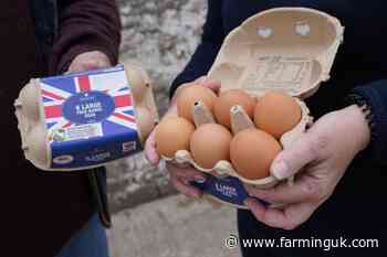 Lidl announces &#163;1 billion investment into free range egg sector