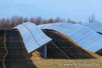 Tenant farmers&#39; group &#39;takes stand&#39; to protect farm from solar site