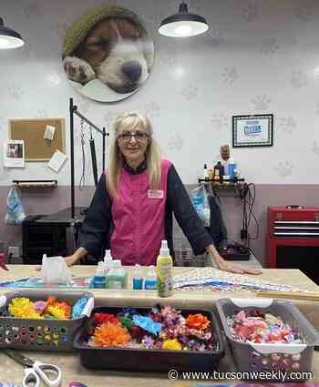 In The Dog House: Find peace and love at Teddy’s Dog House