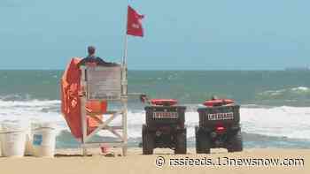 How beach flags can be used to keep swimmers safe