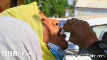 Hundreds die from cholera as war rages in Sudan