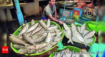 Bangladeshi hilsa on way to Kolkata but cloud over quantity