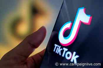 TikTok is joining the search advertising game