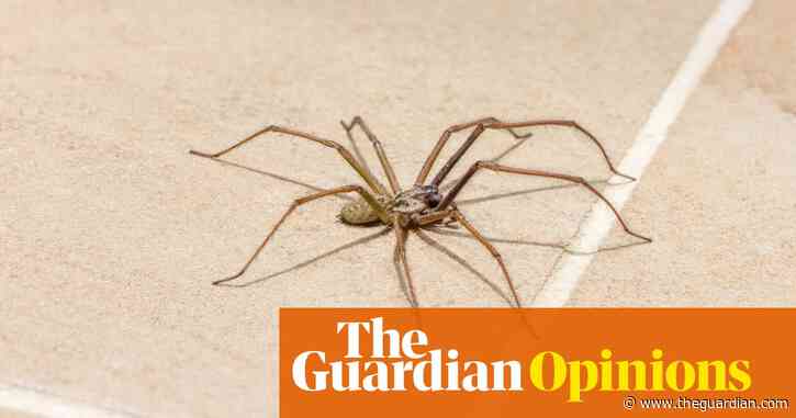 Great news, everybody! We’re about to be over-run by giant spiders