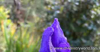 A chemist in the flower garden