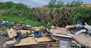 Two businesses fined after bags, boxes and building waste dumped in Darlington