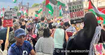 Calls for Welsh council pension fund to divest from companies supporting Israeli government action in Gaza