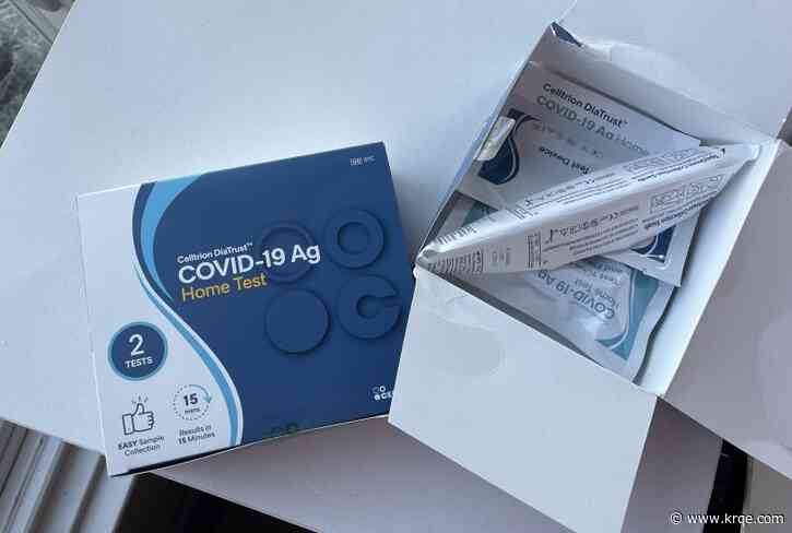 You can order free at-home COVID tests from the federal government again: Here's how