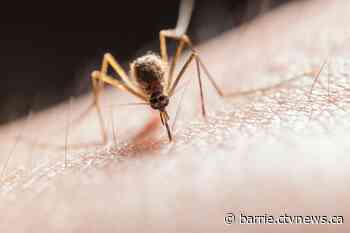 Second human case of West Nile virus confirmed in Simcoe Muskoka