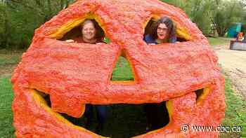 Manitoba pumpkin patch has gourds galore