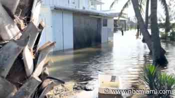 ‘Happy it wasn't more': Fort Myers Beach residents assess Helene flooding, damage