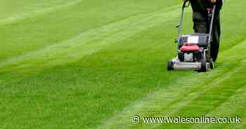 Welsh council transfers £300k to fund in-house grass cutting services despite opposition