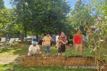 Vzw Atelier in het groen organiseert driedaags feest Happening Nu in ’t Hofke van Stuivenberg