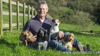 Not what Doc Martin ordered! Blow to Martin Clunes in his battle to stop traveller site near his £5m Dorset farm