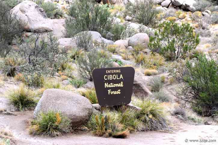 Cibola National Forest waiving most fees on Saturday