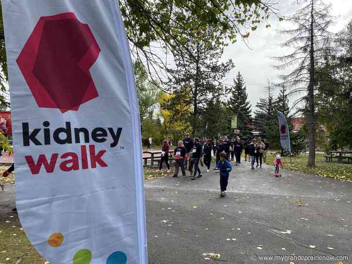 Kidney Foundation on track to surpass $25K fundraising goal following 2024 Kidney Walk in Grande Prairie