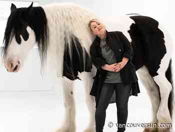 Jann Arden in Vancouver to spotlight Canadian horse export and slaughter