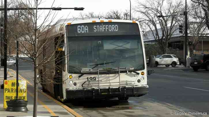 Lethbridge Transit experiencing significant route cancellations