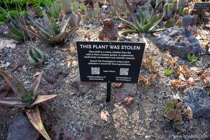 People are stealing succulents from The Huntington