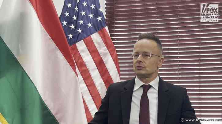 Hungarian FM recalls strong Trump admin 'experience,' claims 'our hope is all' on former president