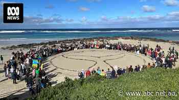 Opponents celebrate as plan abandoned for major seismic testing off Victoria