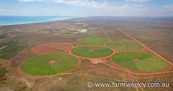 Incoming EU deforestation policy blocking Pardoo Wagyu's new export chain