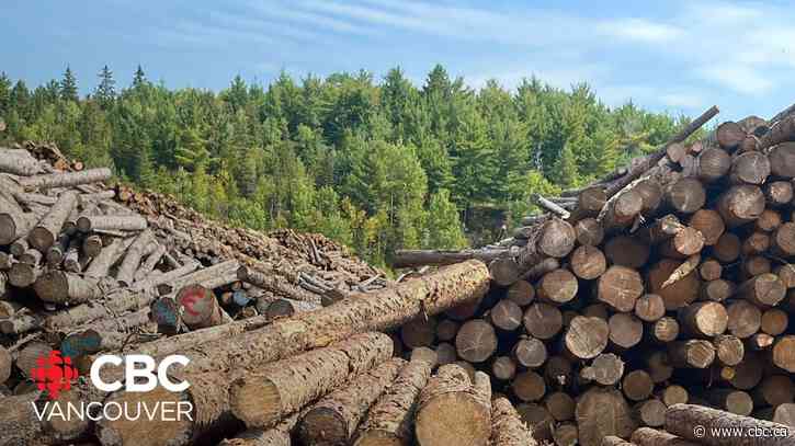 What are the biggest challenges B.C.'s forestry industry is facing today?