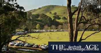 When cars nosed the boundary, blowing their horns in gladness