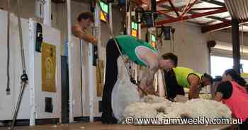 Shearers battled it out on the Perth Royal Show boards