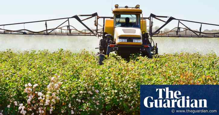 Revealed: the US government-funded ‘private social network’ attacking pesticide critics