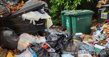 Rats seen at estate where rubbish was not collected for THREE weeks