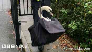 Police swan rescue prompts Hot Fuzz jokes